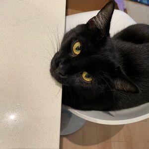 Meet your Posher, Lise